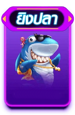 เกมไพ่ wmb55